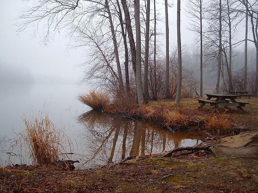 Lums Pond State Park. In Wikipedia. https://en.wikipedia.org/wiki/Lums_Pond_State_Park By Moon Rhythm from living under the milky way - daywalk in bear, delaware, CC BY 2.0, https://commons.wikimedia.org/w/index.php?curid=2755828