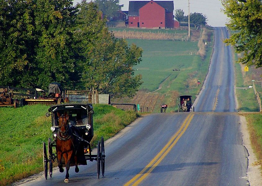 Amish buggies approaching; Mt. Eaton, Ohio