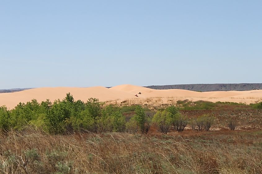 The Little Sahara State Park in Waynoka, Oklahoma.