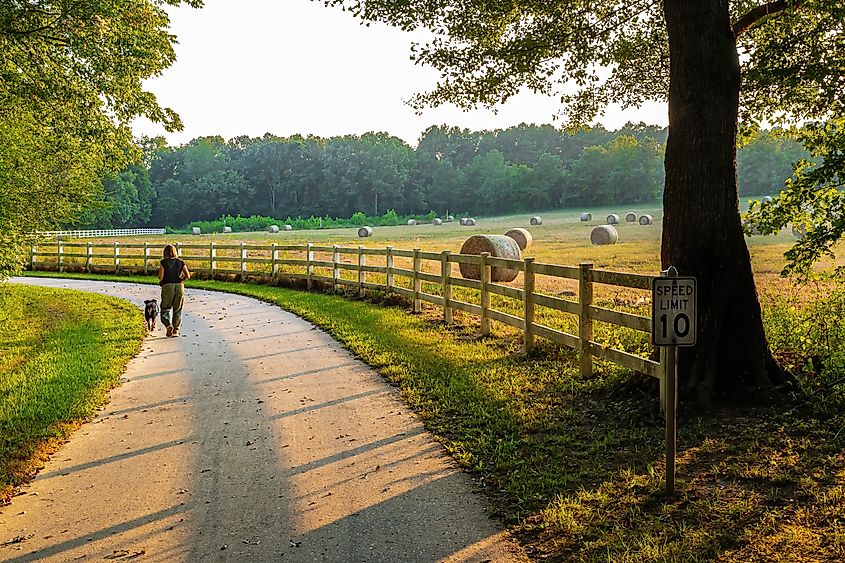 Raleigh, North Carolina: A Woman and Her Dog Walk on the Neuse River Trail. Image Credit Wileydoc via Shutterstock.