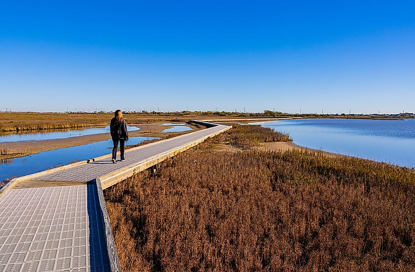 Boardwalks at Leonabelle Turnbull Birding Center.