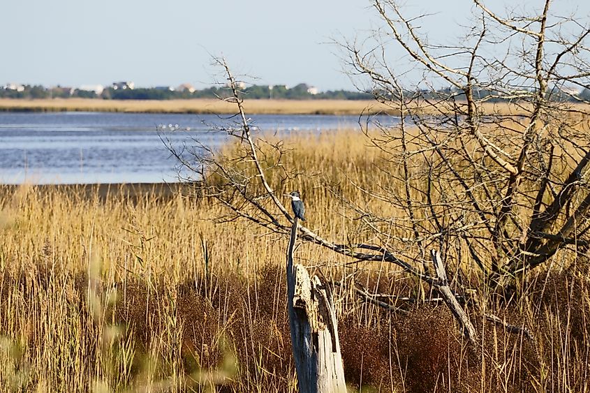 Prime Hook National Wildlife RefugE