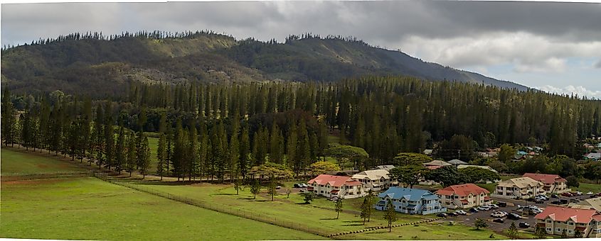 Panoramic view of Lanai City in Lanai, Hawaii.