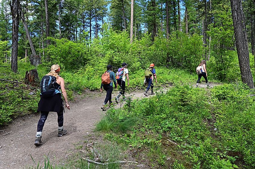 Hikers on Lion Mountain Trail near Whitefish, Montana on a sunny summer morning.