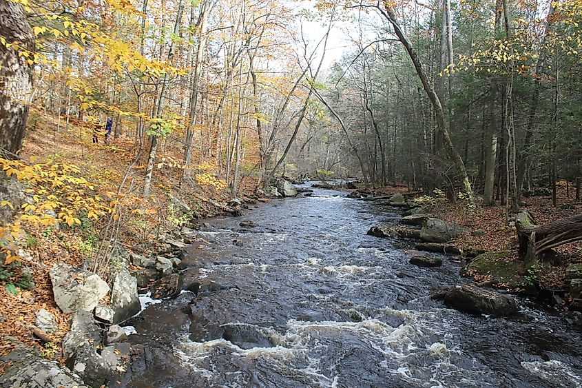 Hacklebarney State Park