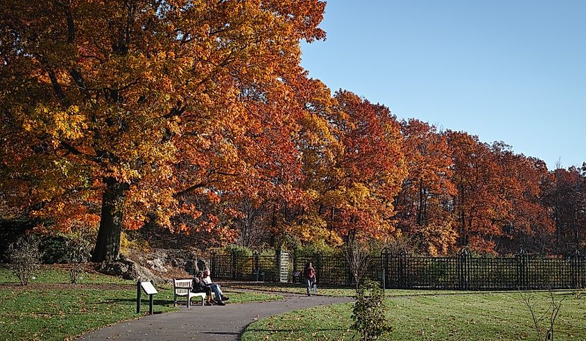 People visiting New York botanical garden in Bronx on a sunny autumn day