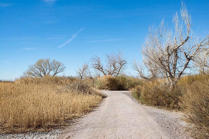 Clark County Wetlands Park in Henderson, Nevada.