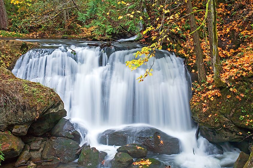 A waterfall cascading over rocky ledges surrounded by vibrant autumn foliage at Whatcom Falls Park in Bellingham, Washington.