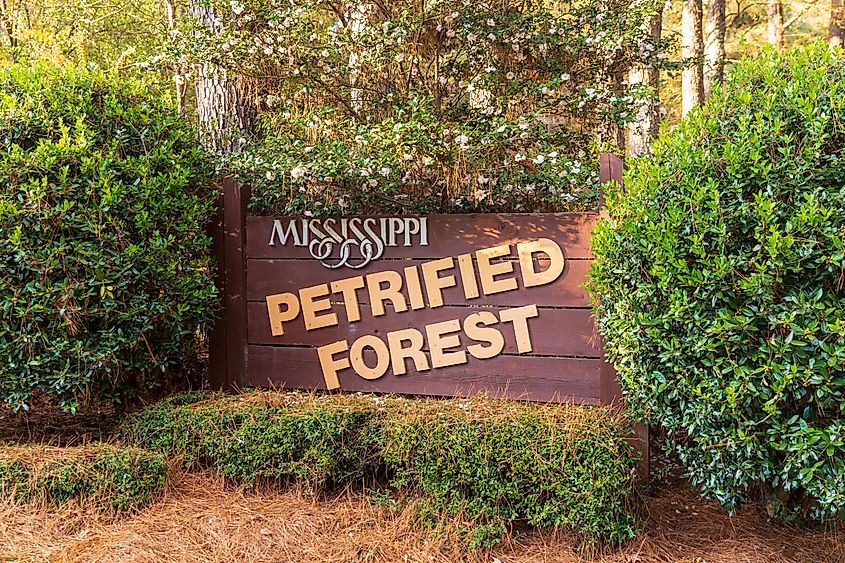 Entrance to the Mississippi Petrified Forest in Flora, Mississippi