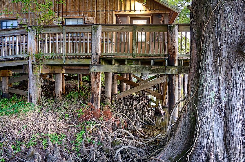 A cabin in Lake Fausse Pointe State Park, Louisiana.