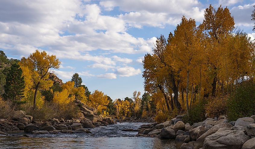 Fall River scene in Colorado Buena vista