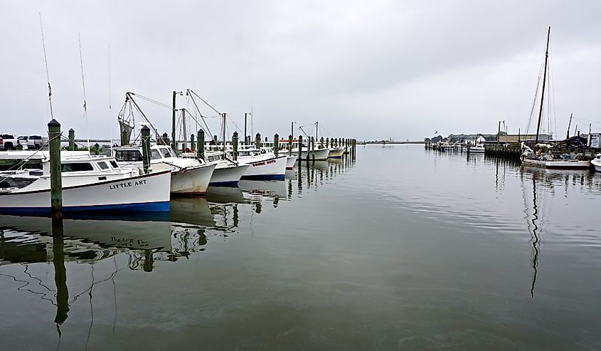 Harbor in Deal Island, Maryland.