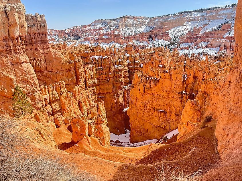 Wall Street in Bryce Canyon National Park