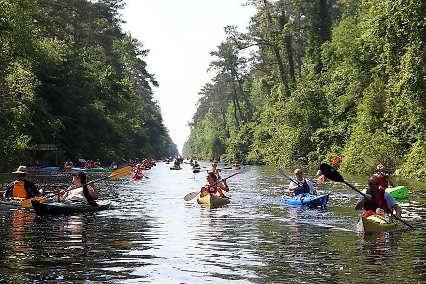 People paddle along the Dismal Swamp Canal in North Carolina