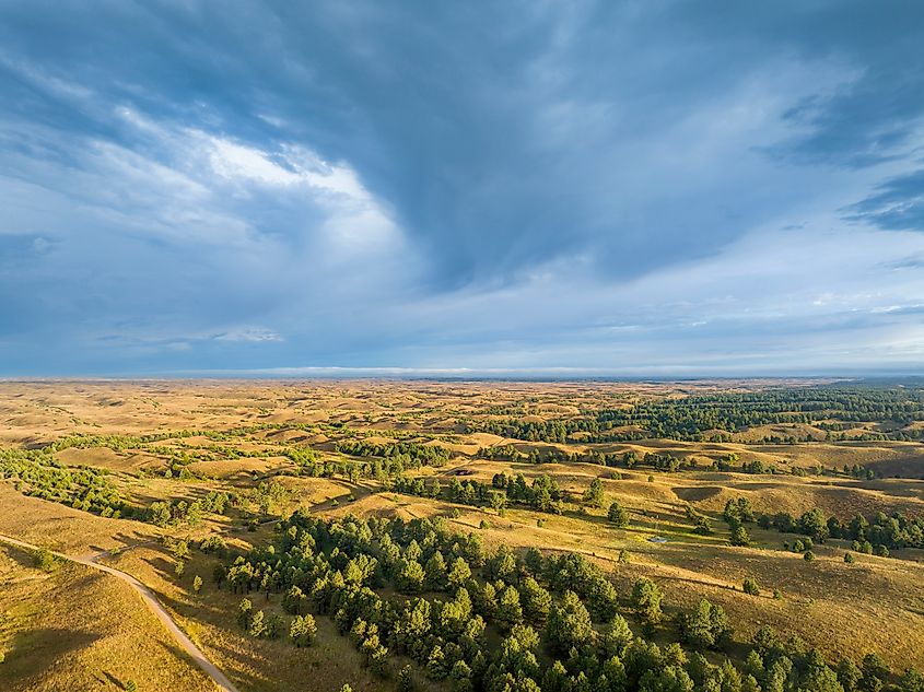 An aerial view of the Nebraska Sandhills at Nebraska National Forest in late summer