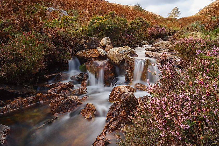 A small mountain stream in Cwm Bychan near Beddgelert, Snowdonia National Park, North Wales.