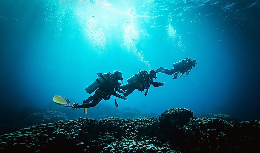 Divers exploring the sea