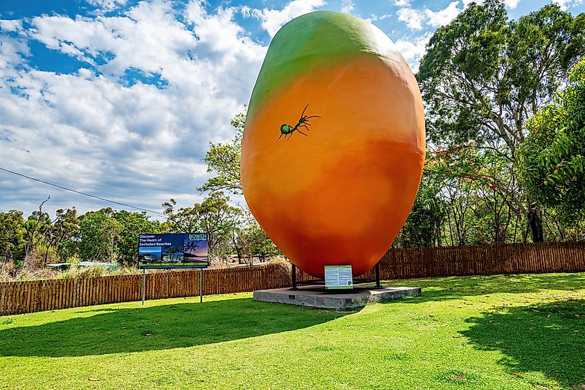 The giant mango outside the Bowen Visitor Centre in Bowen, Queensland, Australia, one of the country's many "big things."