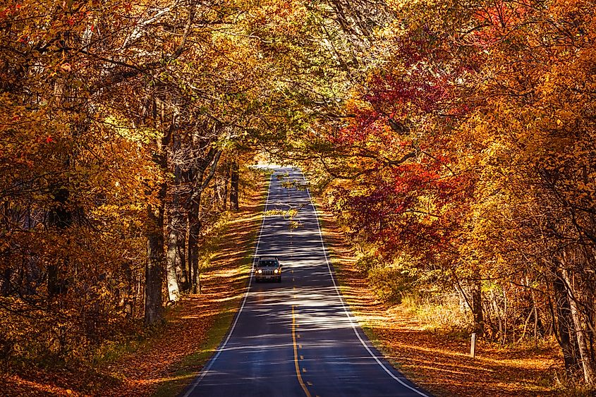 Fall season at Skyline Drive, Virginia.