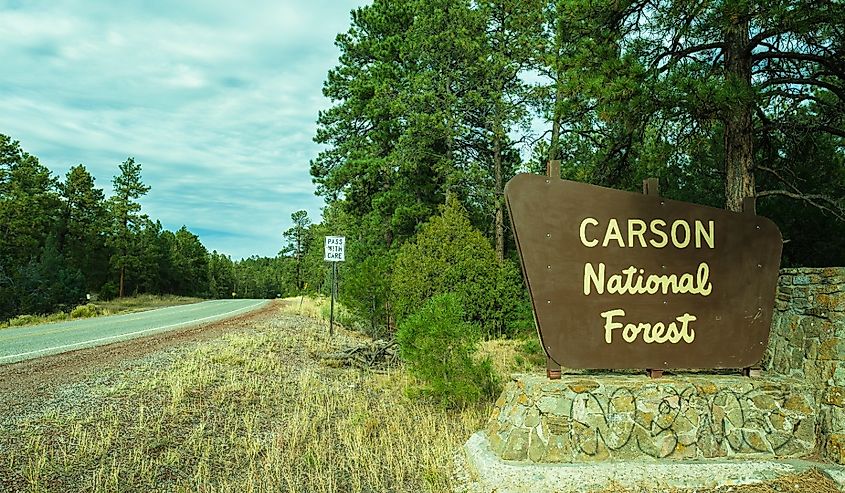 Carson National Forest park sign.