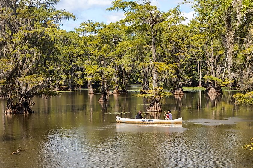 People enjoying boating in the Caddo Lake, Texas.