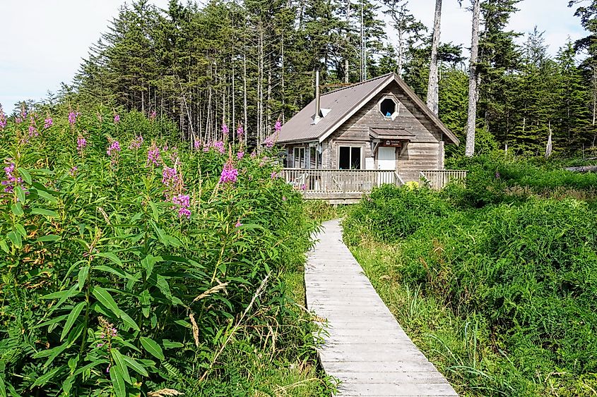 Cape Scott Provincial Park, Vancouver Island, Canada.