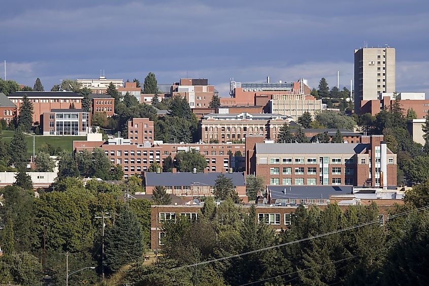 The campus of Washington State University in Pullman, Washington, features a blend of historic and modern architecture set against a backdrop of rolling hills and green spaces, typical of the university's picturesque and expansive campus environment.