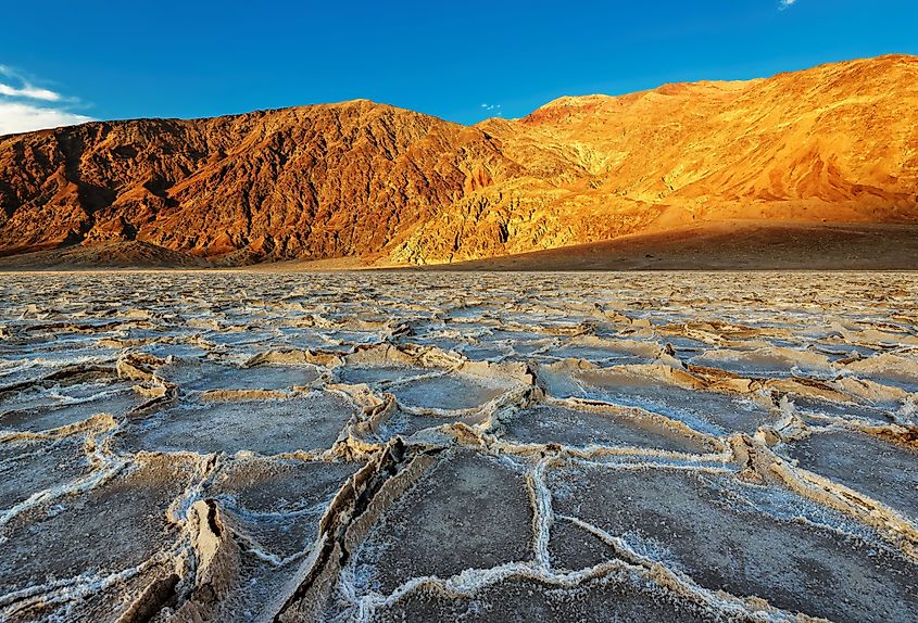 Salt polygons stretching across the floor of Badwater Basin at sunset.