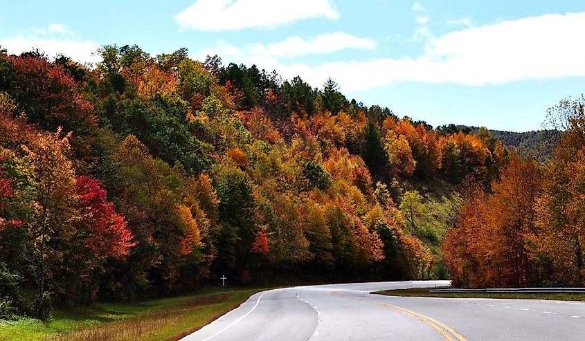 A winding road passing through the dense forest with autumn greenery in Brevard, North Carolina