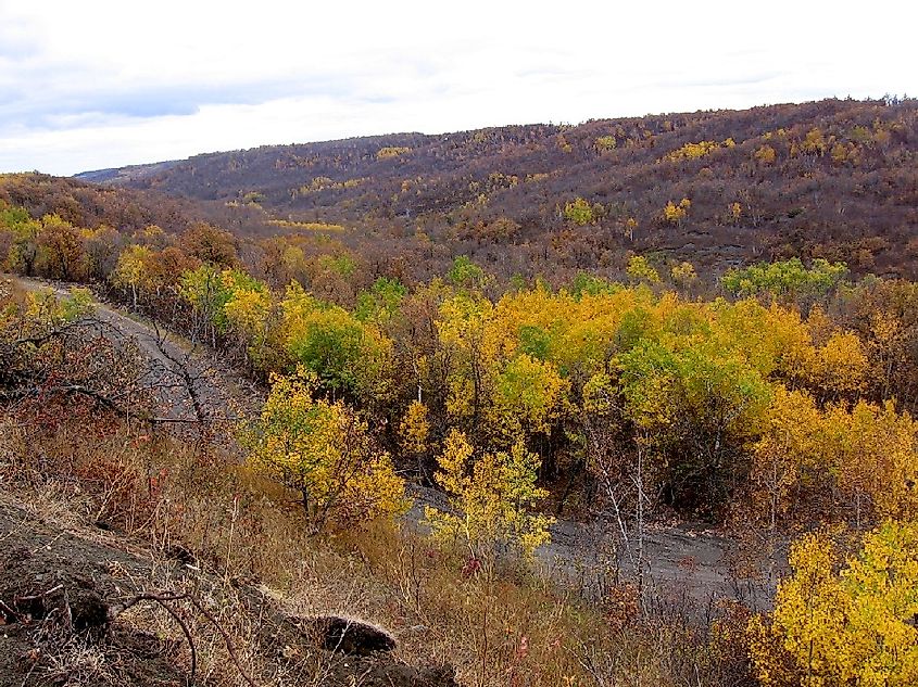 The beautiful Pembina Gorge.