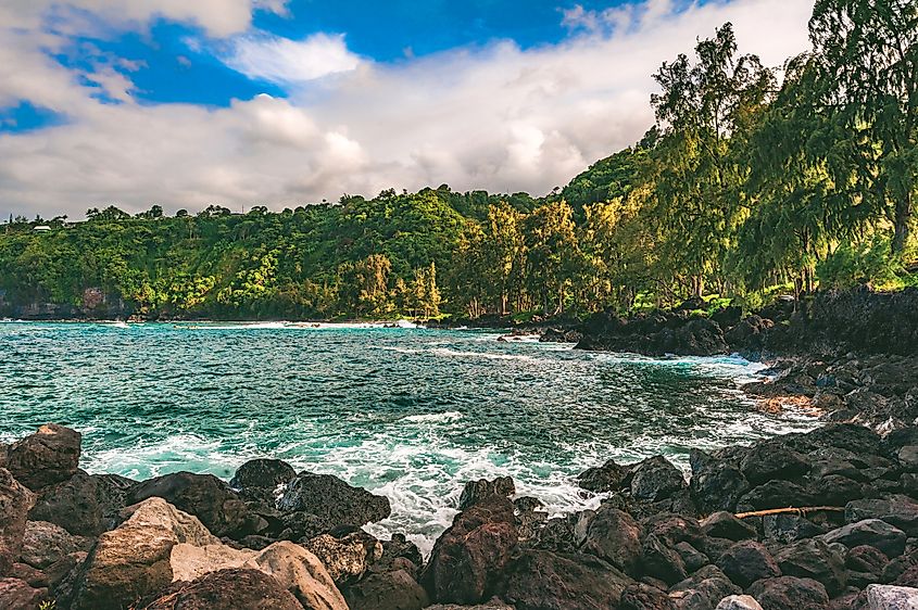 Blue water rolls in to meet the black lava rack in Laupāhoehoe, a little town located on the north shore between Honokaa and Hilo