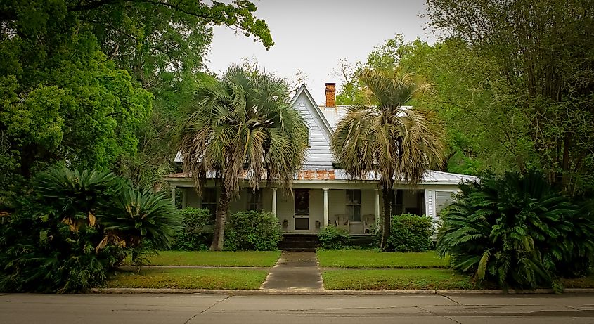 An old house with tropical plants and palm trees in Monticello, Florida, United States. Editorial credit: Sabrina Janelle Gordon / Shutterstock.com