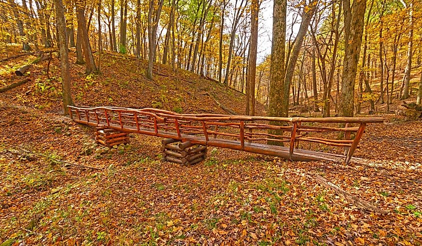 Fall scene in Palisades-Kepler State Park