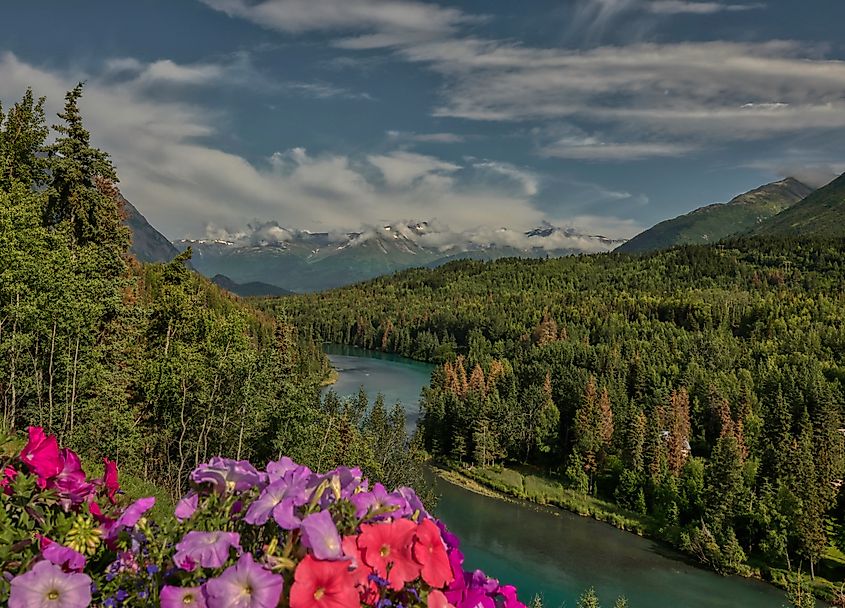 Kenai River in Alaska's Kenai Peninsula.