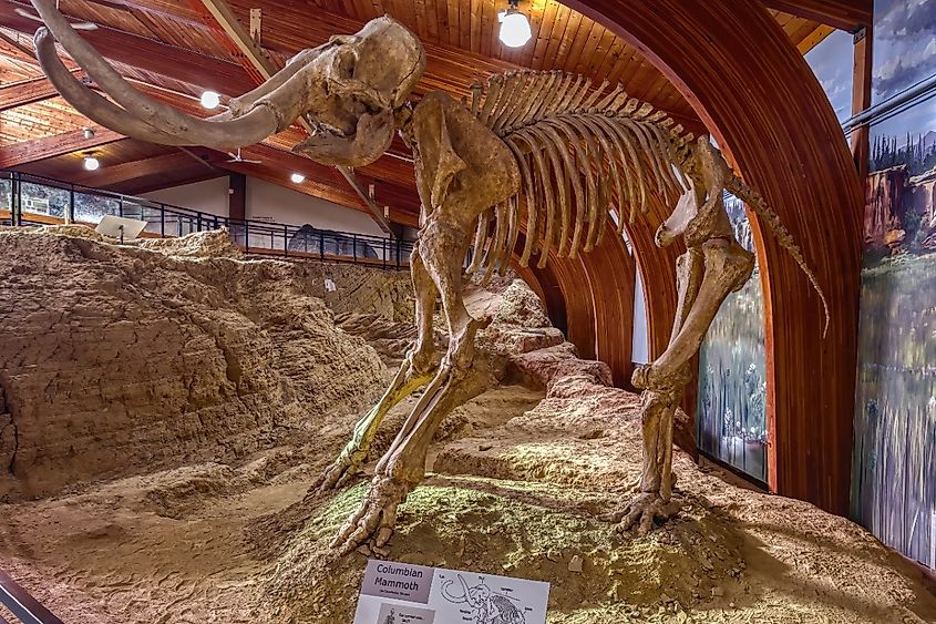 Mammoth Fossil Dig Site, Hot Springs, South Dakota.