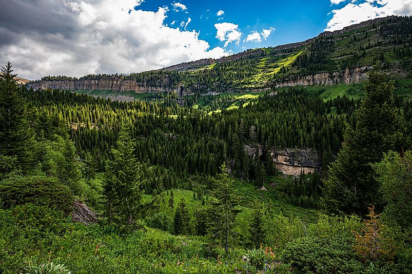 View to The Darby Canyon in Victor, Idaho.