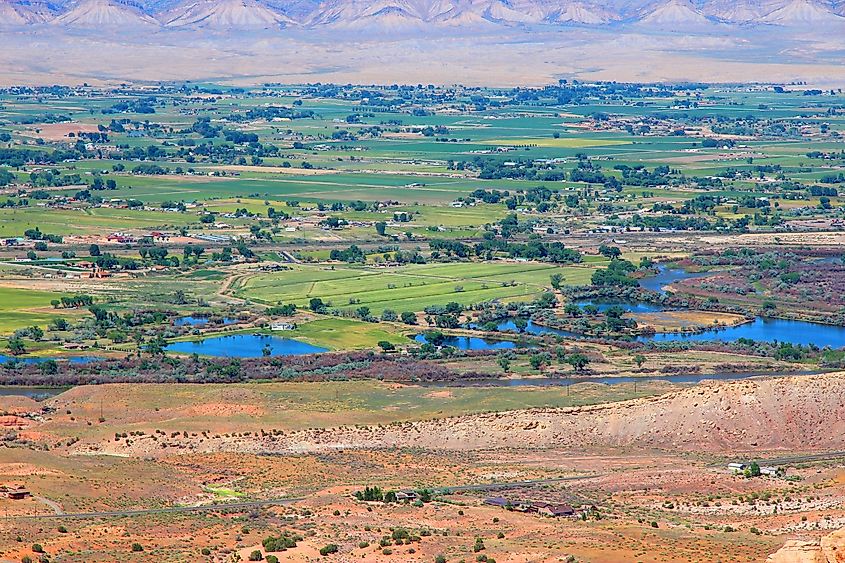 Agricultural land in Fruita, Colorado.