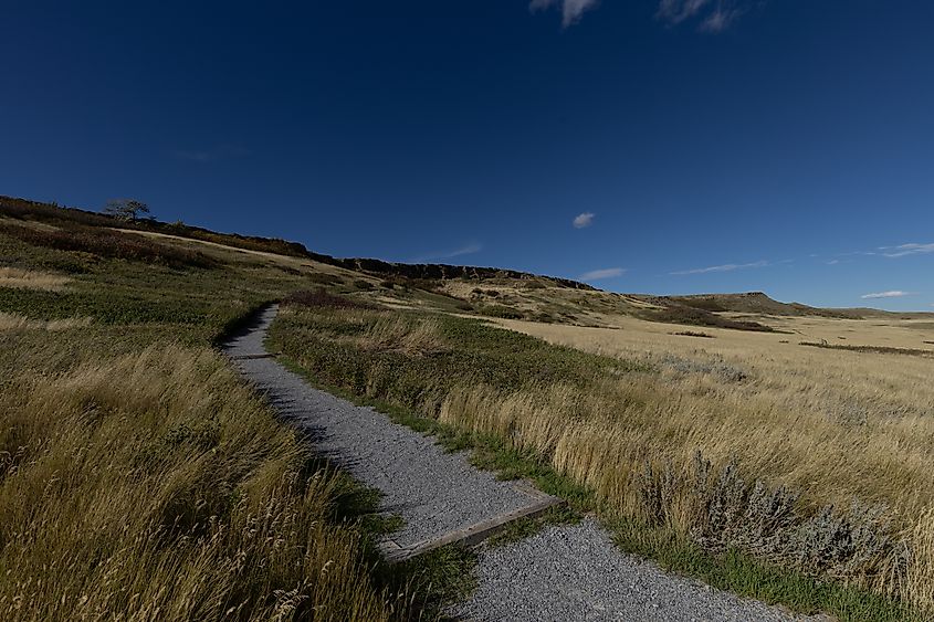 The main trail that follows along the base of the buffalo jump. 