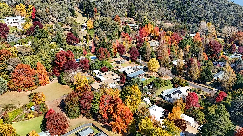 Fall Colours at Bright, Victoria.