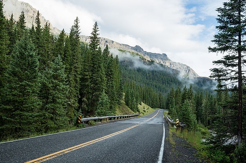 The Beartooth Highway passing through a forested area.