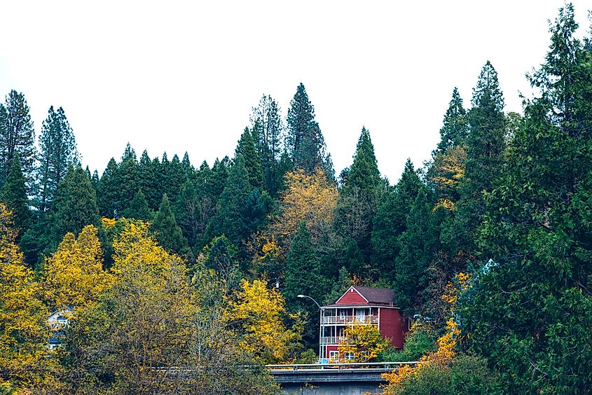 Fall Colors in Nevada City, California.