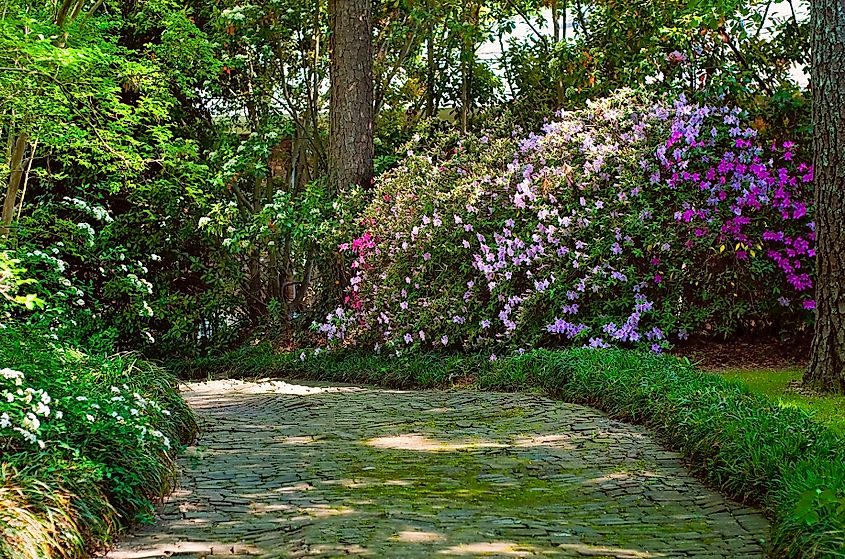 Flowers bloom along a cobblestone path in Columbus, Mississippi.