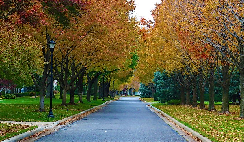 A road with no traffic near Kansas City lined with trees and lamps in autumn season.