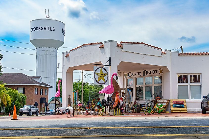 The Brooksville water tower and the Country Depot Collectibles store in Brooksville, Florida