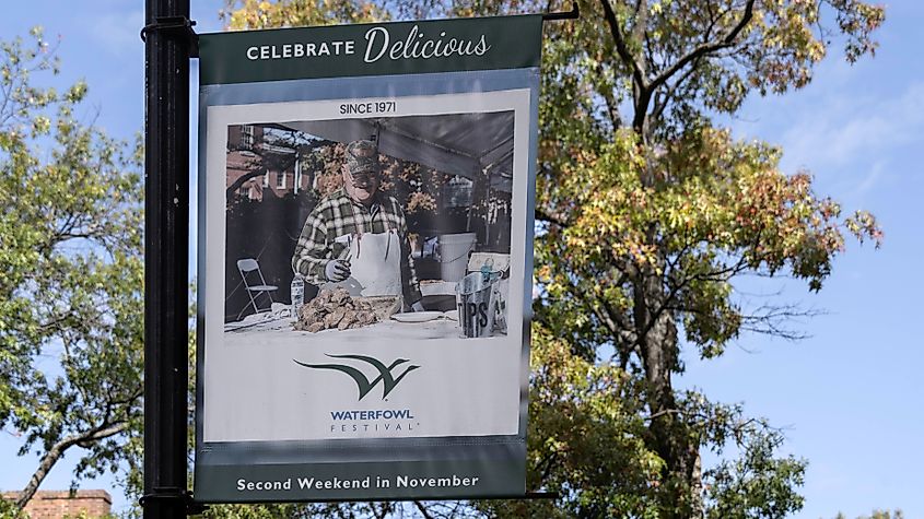 A banner advertising the Easton Waterfowl Festival in Easton, Maryland.