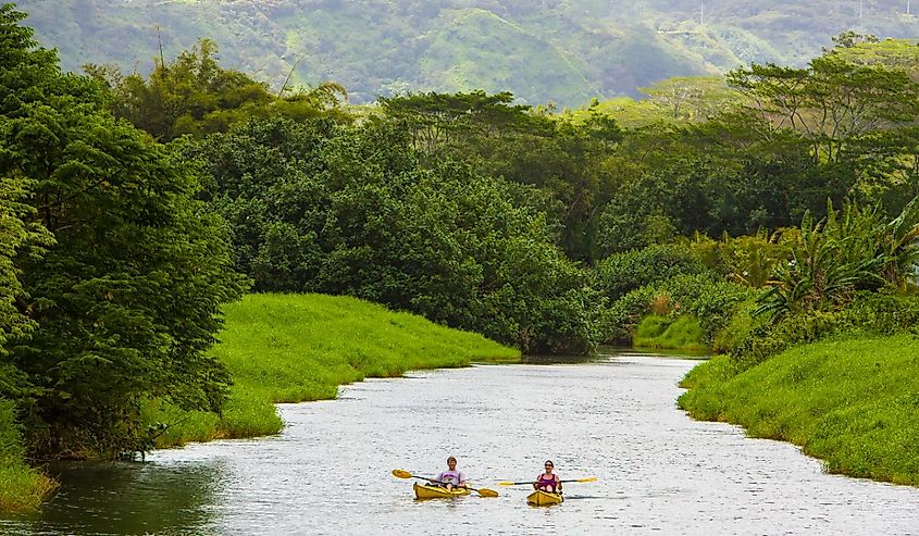 A man and woman in kayaks in a stream on the north shore of Kauai near Hanalei, Hawaii