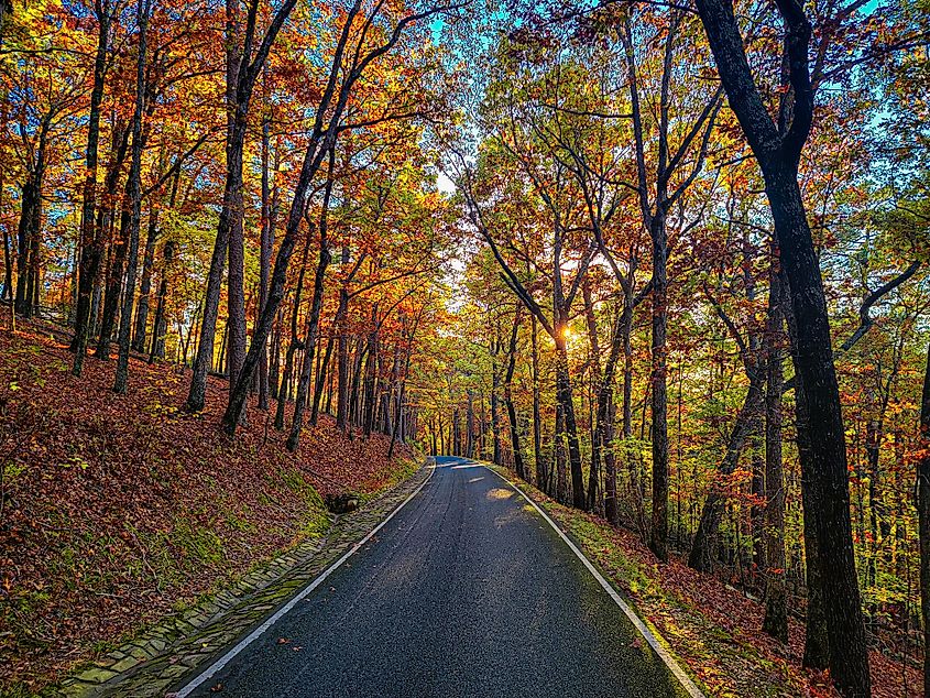 Hot Springs National Park in Arkansas during autumn, with vibrant fall foliage covering the hillsides