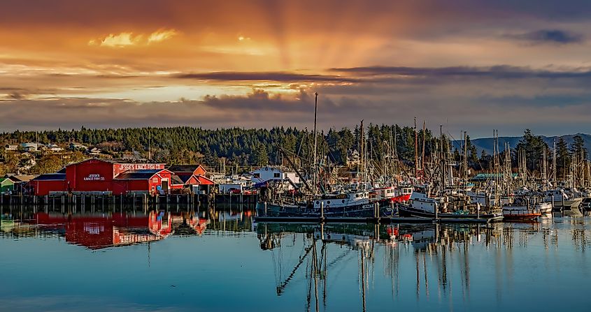 Ilwaco boat basin, Ilwaco, Washington.