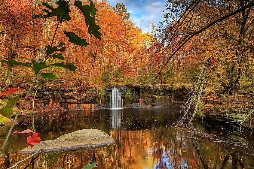 Vibrant fall foliage at Banning State Park, Minnesota.