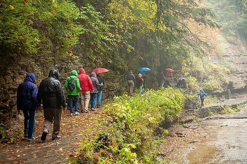 A group of tourists hiking a trail in Watkins Glen State Park, Upper New York, via Bob Pool / Shutterstock.com